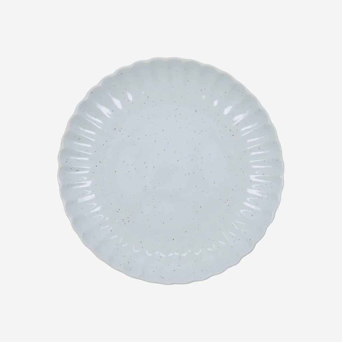Middagstallerken Scallop, Lyseblå