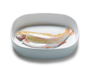 Superellipse fad i porcelæn