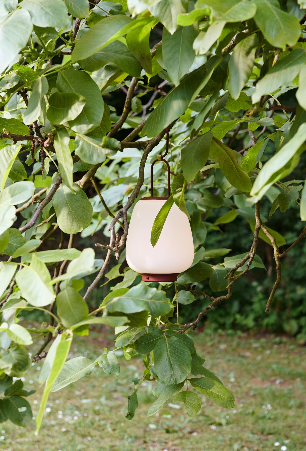 Lucca Portable Lamp