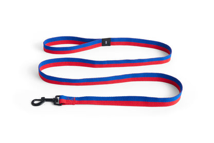 Dogs Leash Flat