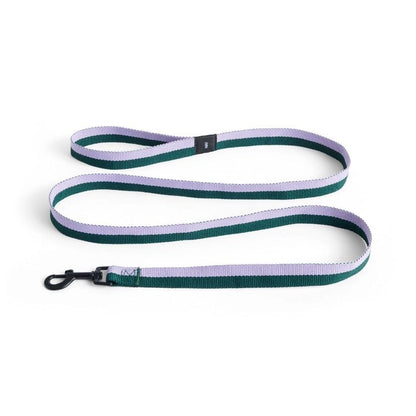 Dogs Leash Flat