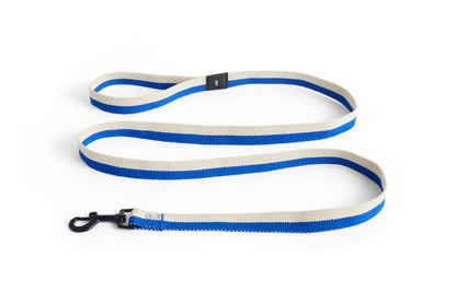 Dogs Leash Flat