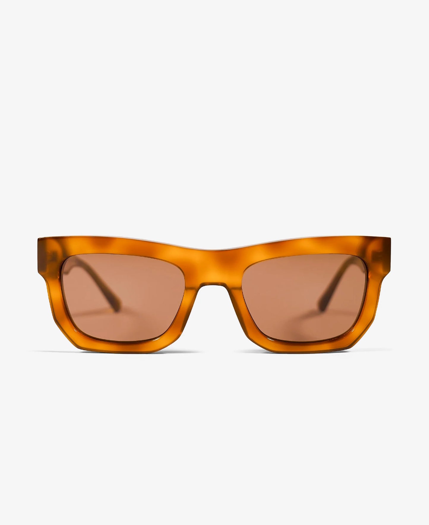 Don Havana Brown, Solbrille