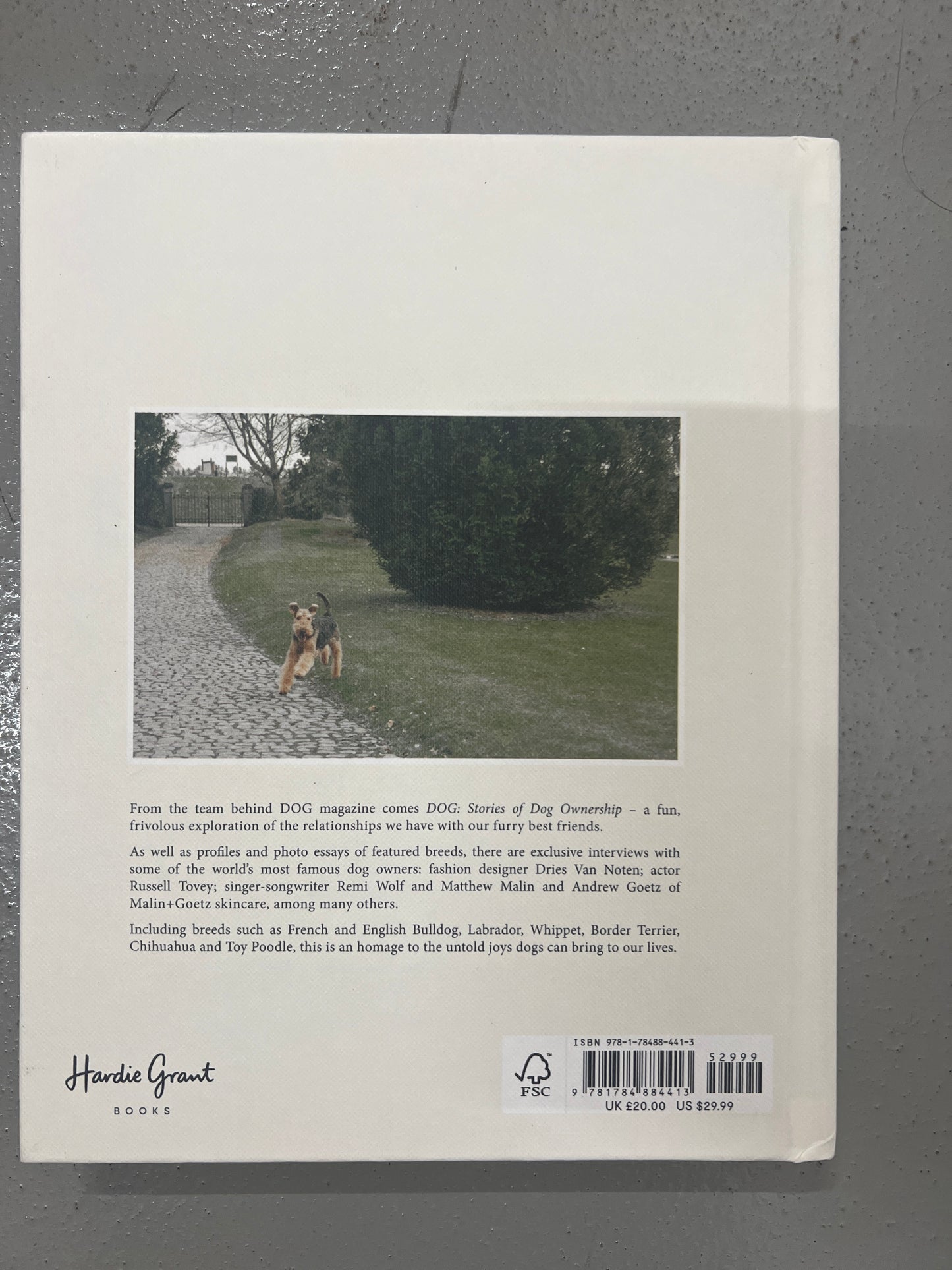 DOG - Stories of dog ownership