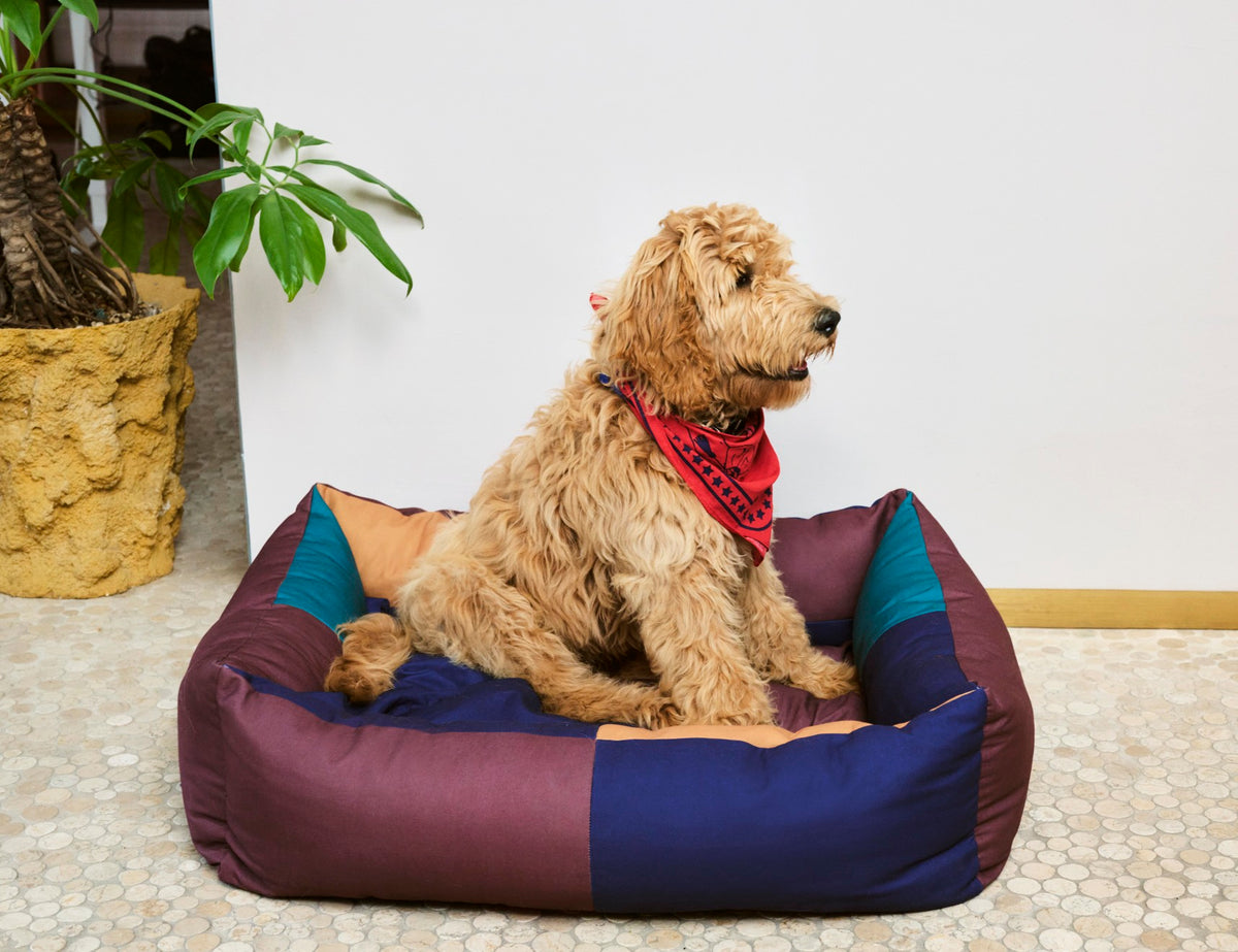 Dogs Bed Burgundy/Green, Large
