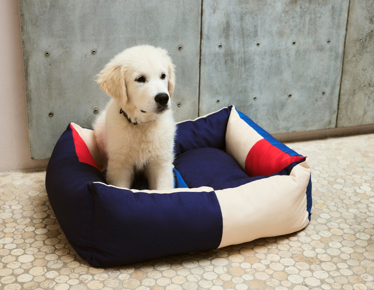 Dogs Bed Red/Blue, Medium