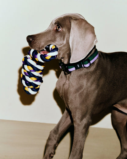 Dogs Rope Toy