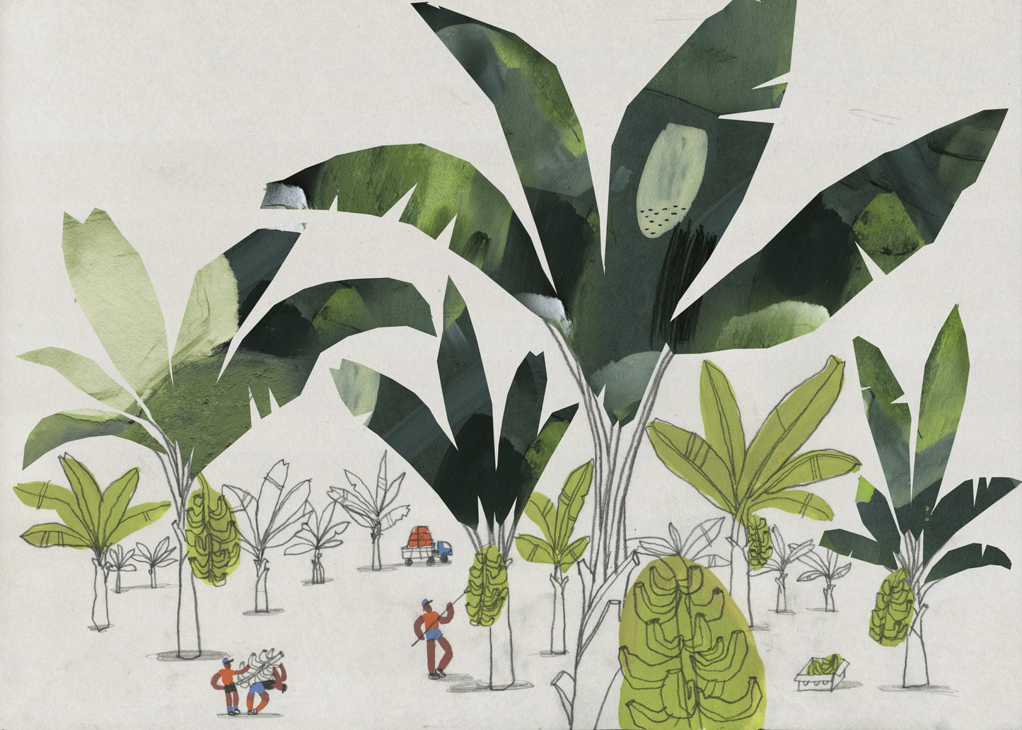 Palmgrove - Plakat 50x70 cm